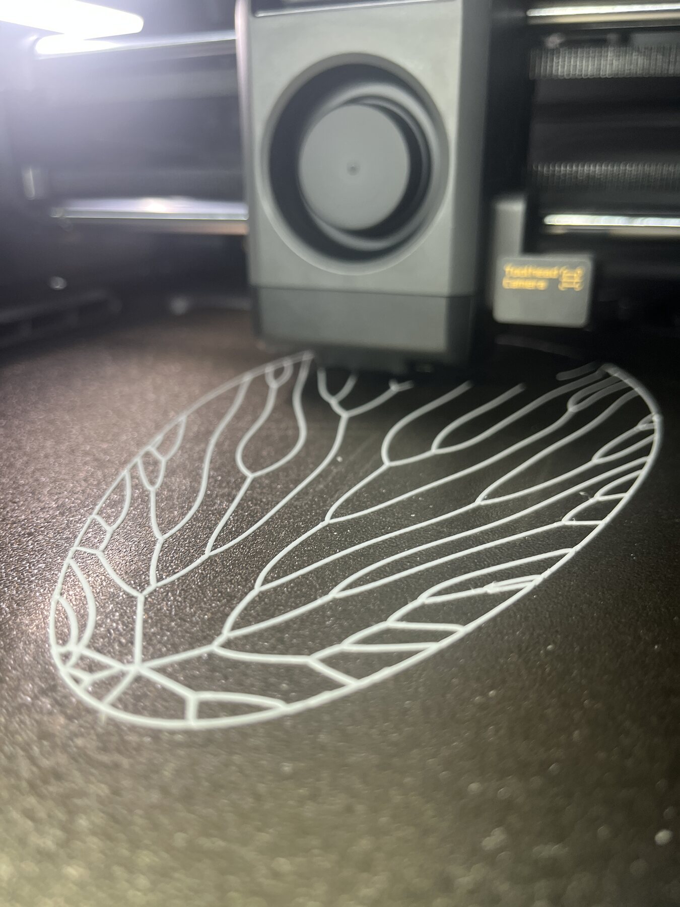 Direct extrusion paths on the Bambu print bed