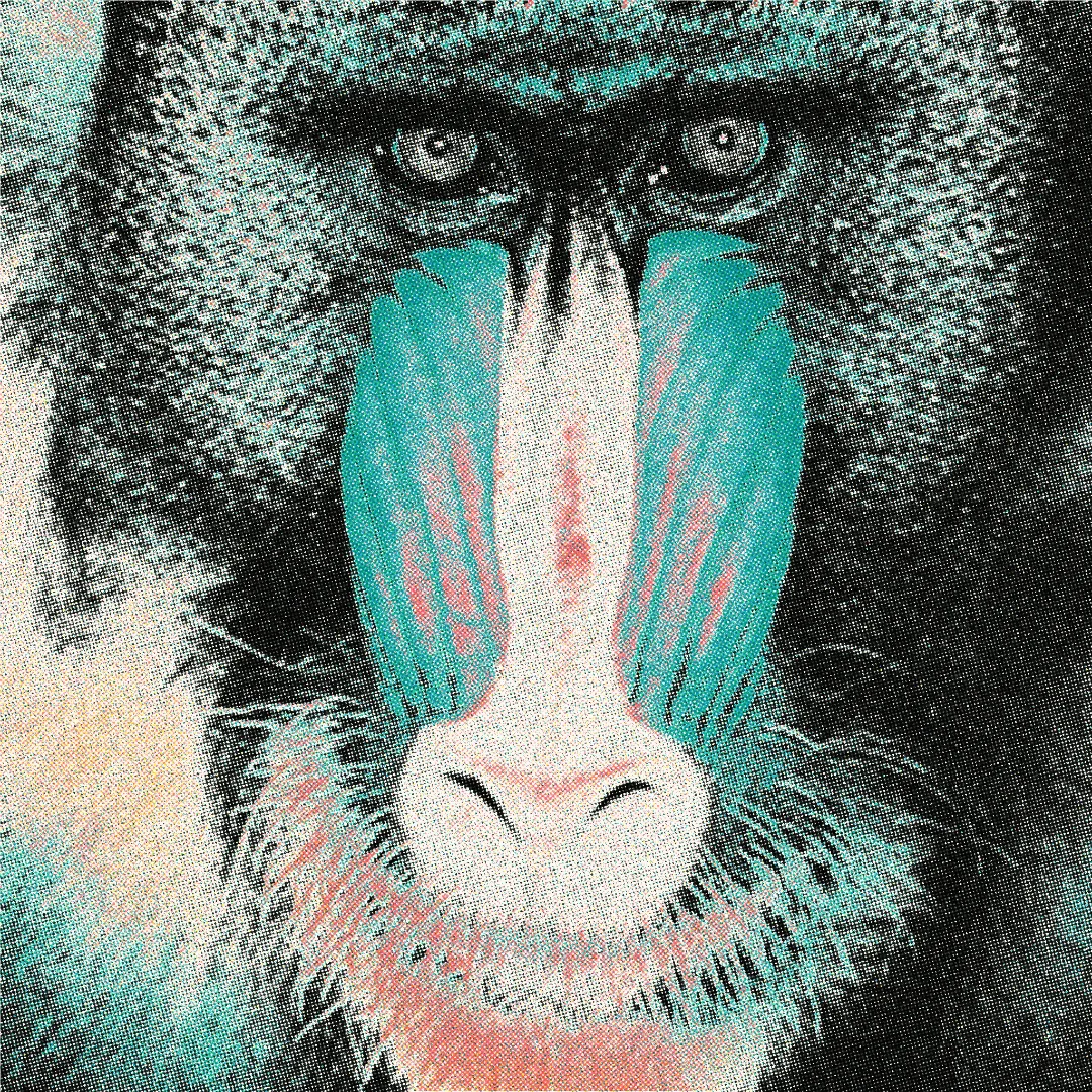 Risograph palette and separation study using the mandrill reference image