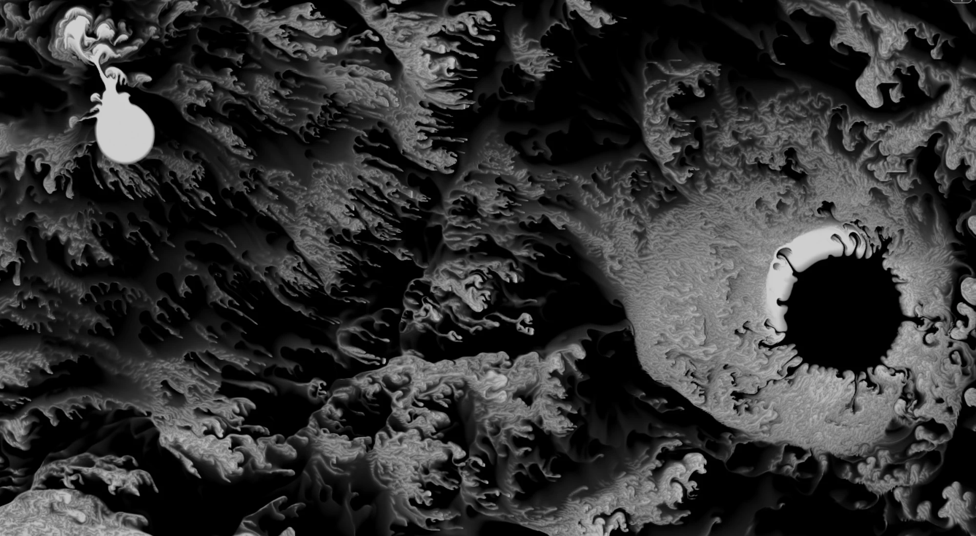 Monochrome fluid-field study made with MotionCOPs
